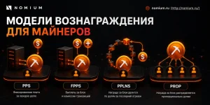 Модели вознаграждения для майнеров